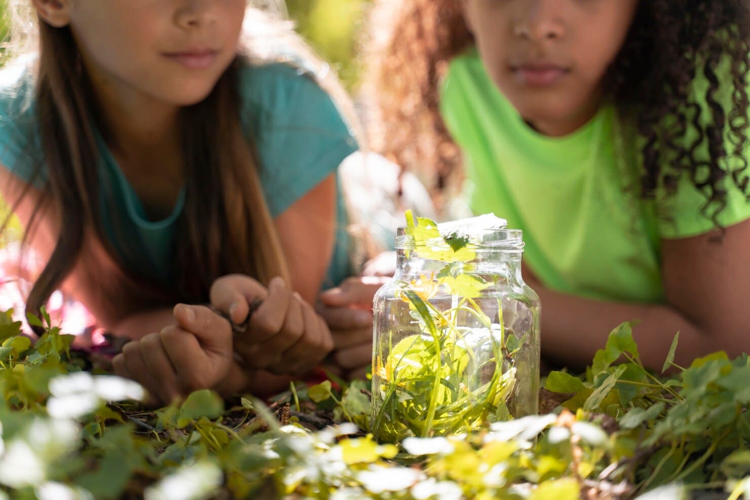 children looking at nature