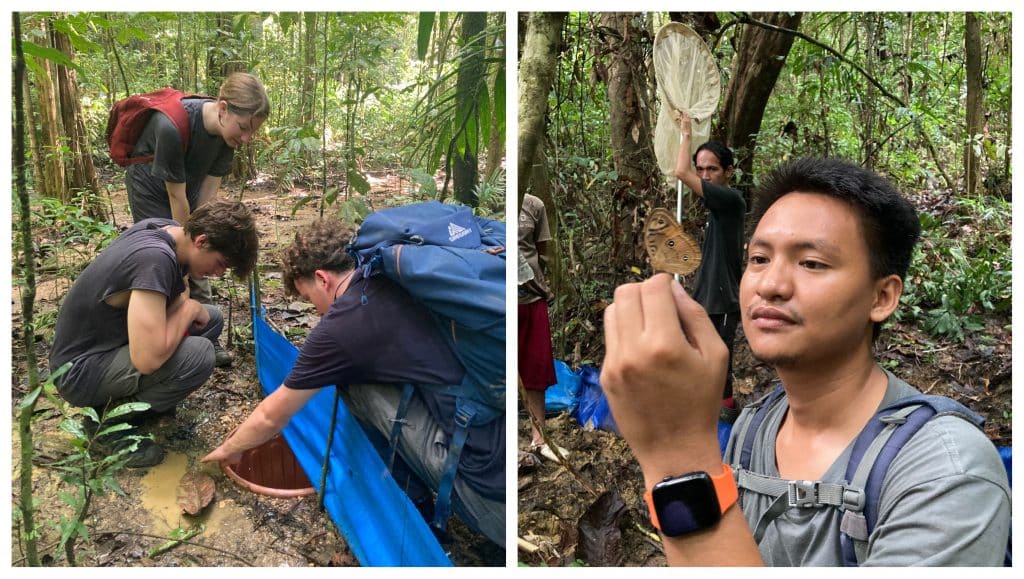 sulawesi rain forest day students in nature