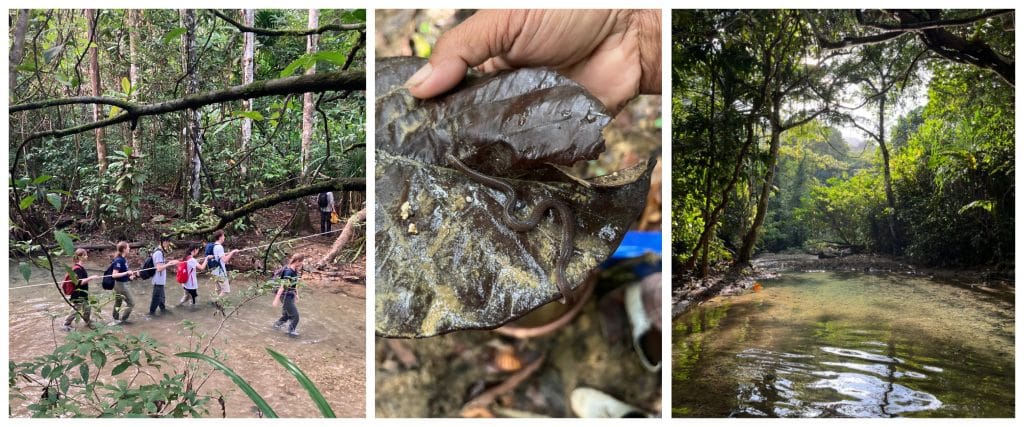 sulawesi rainforest day students in nature