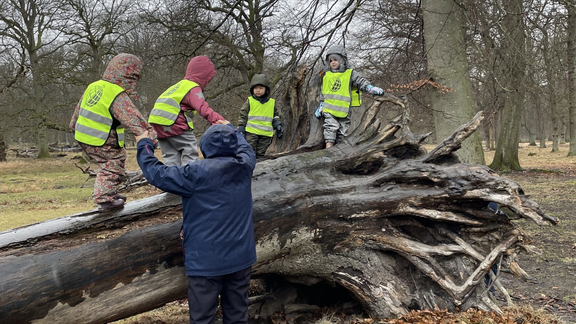 Early Years Environment Learning