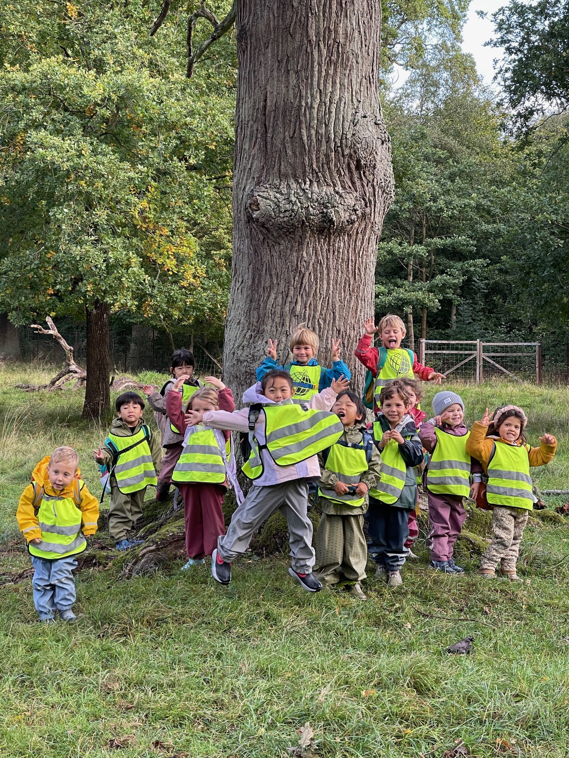 Early childhood students learning learning in situ