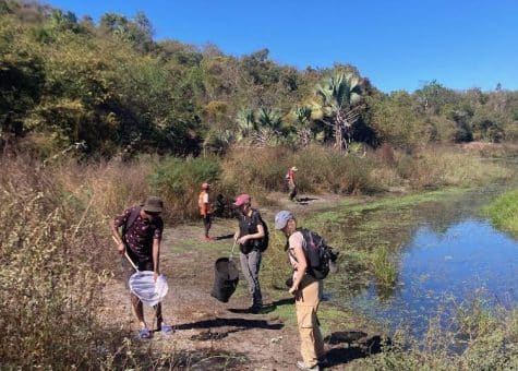 Madagascar 2024 day 6 survey
