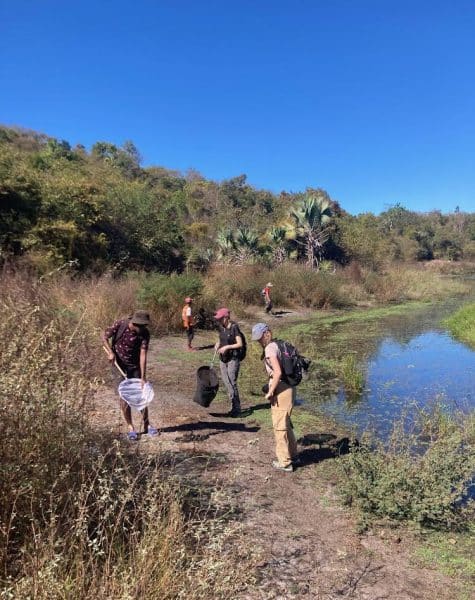 Madagascar 2024 day 6 survey