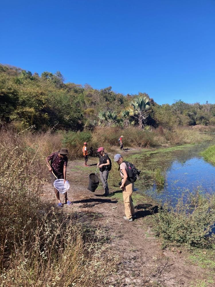 Madagascar 2024 day 6 survey