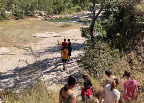 Madagascar 2024 day 9 trek