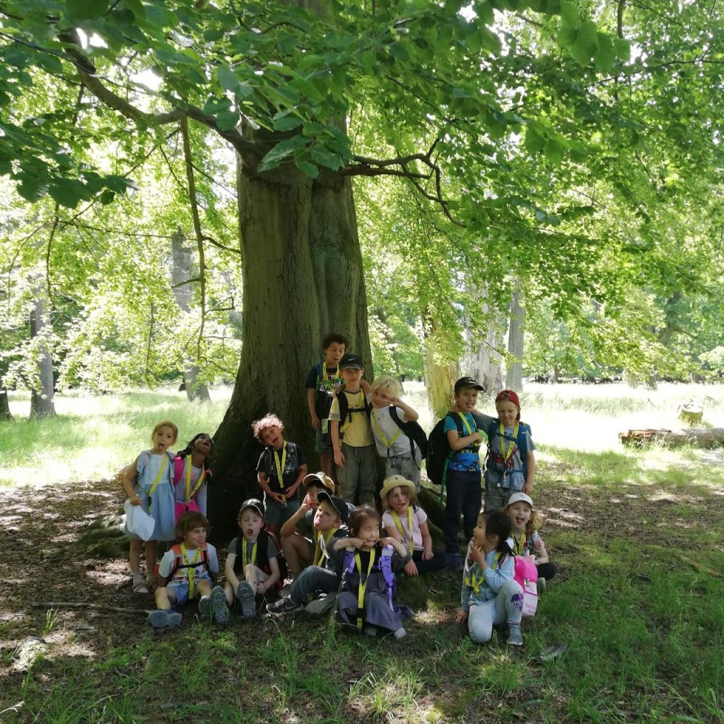 Picnic activity in nature