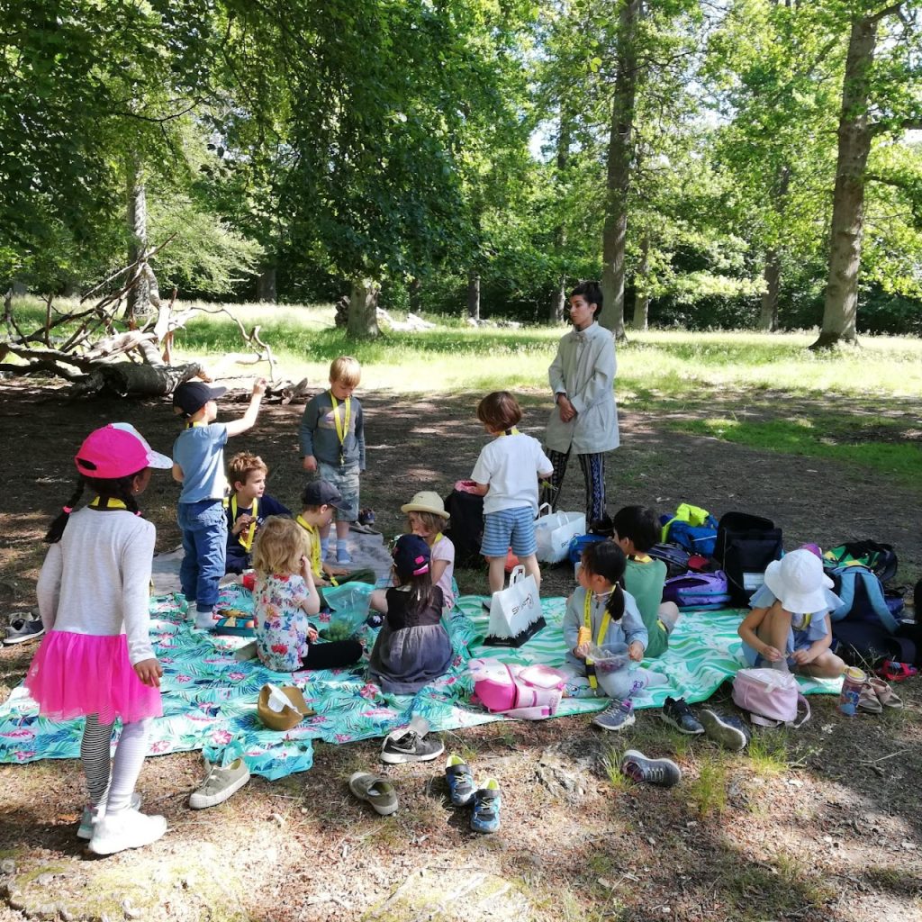 Picnic activity in park