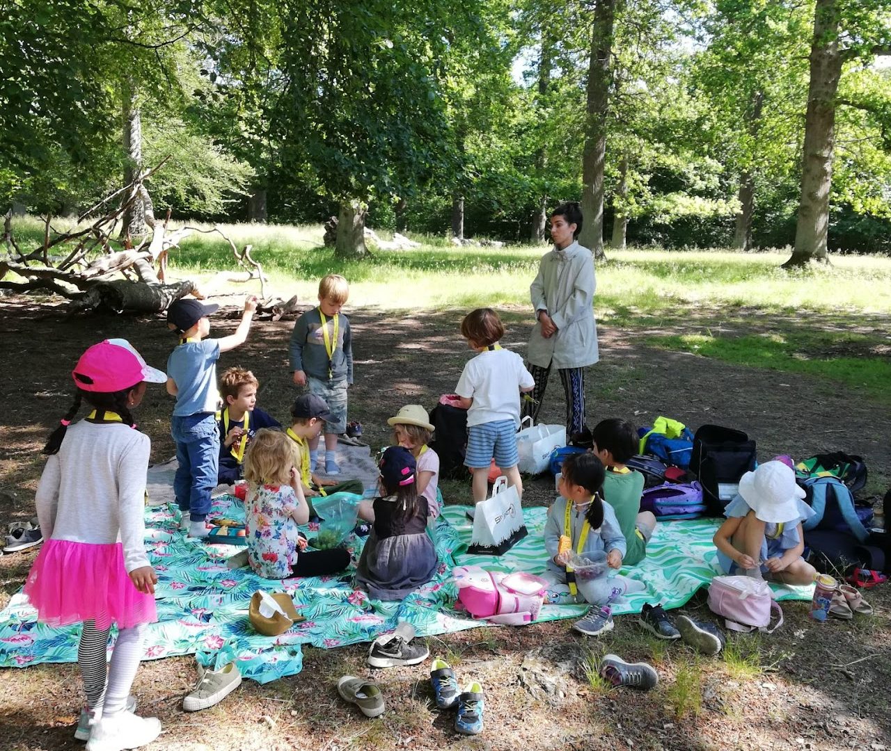 Picnic activity in park